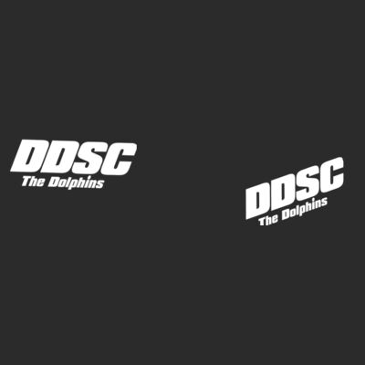 DDSC - SLIDERS Design